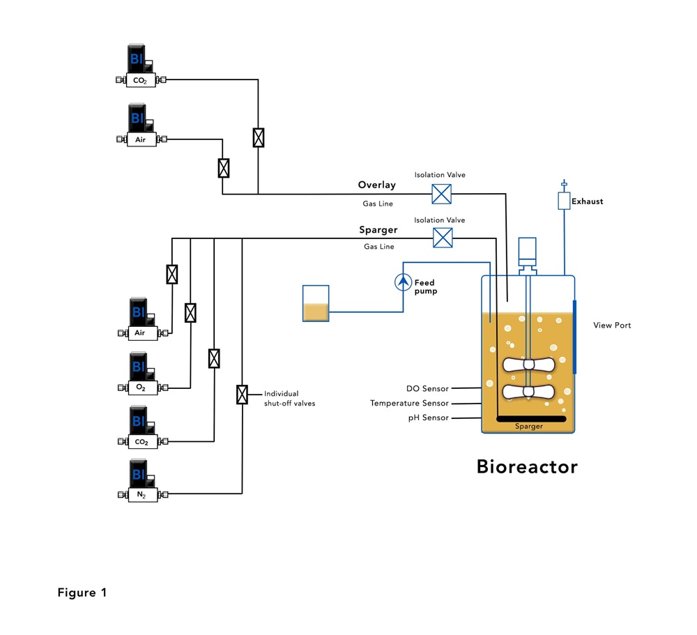 Bioreactor with Mass Flow Controllers