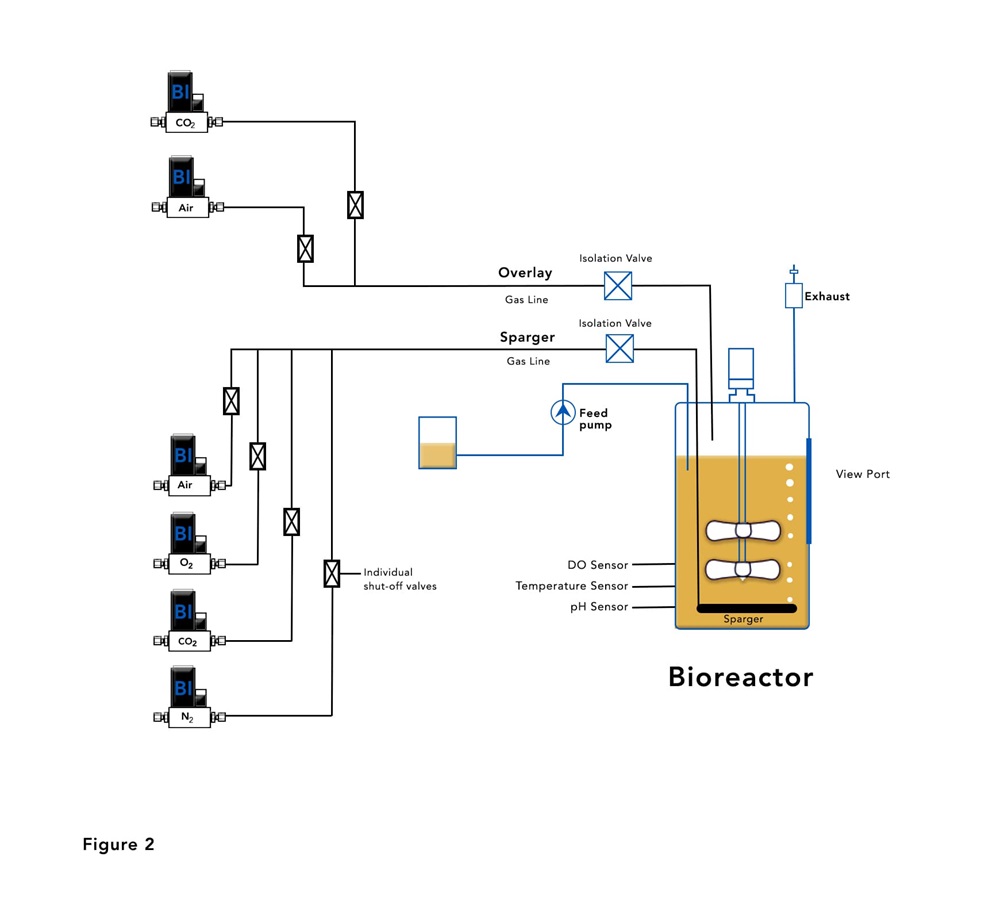 Bioreactor with Mass Flow Controllers